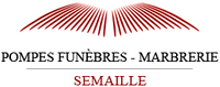Partner Icon